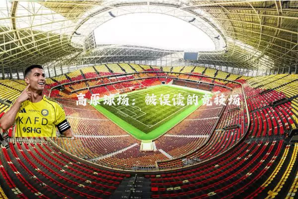 高原球场：被误读的竞技场